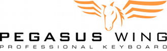 Wersi Pegasus Wing Logo
